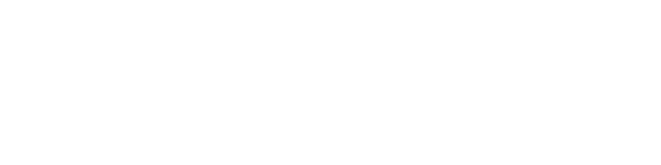 Robonissa
